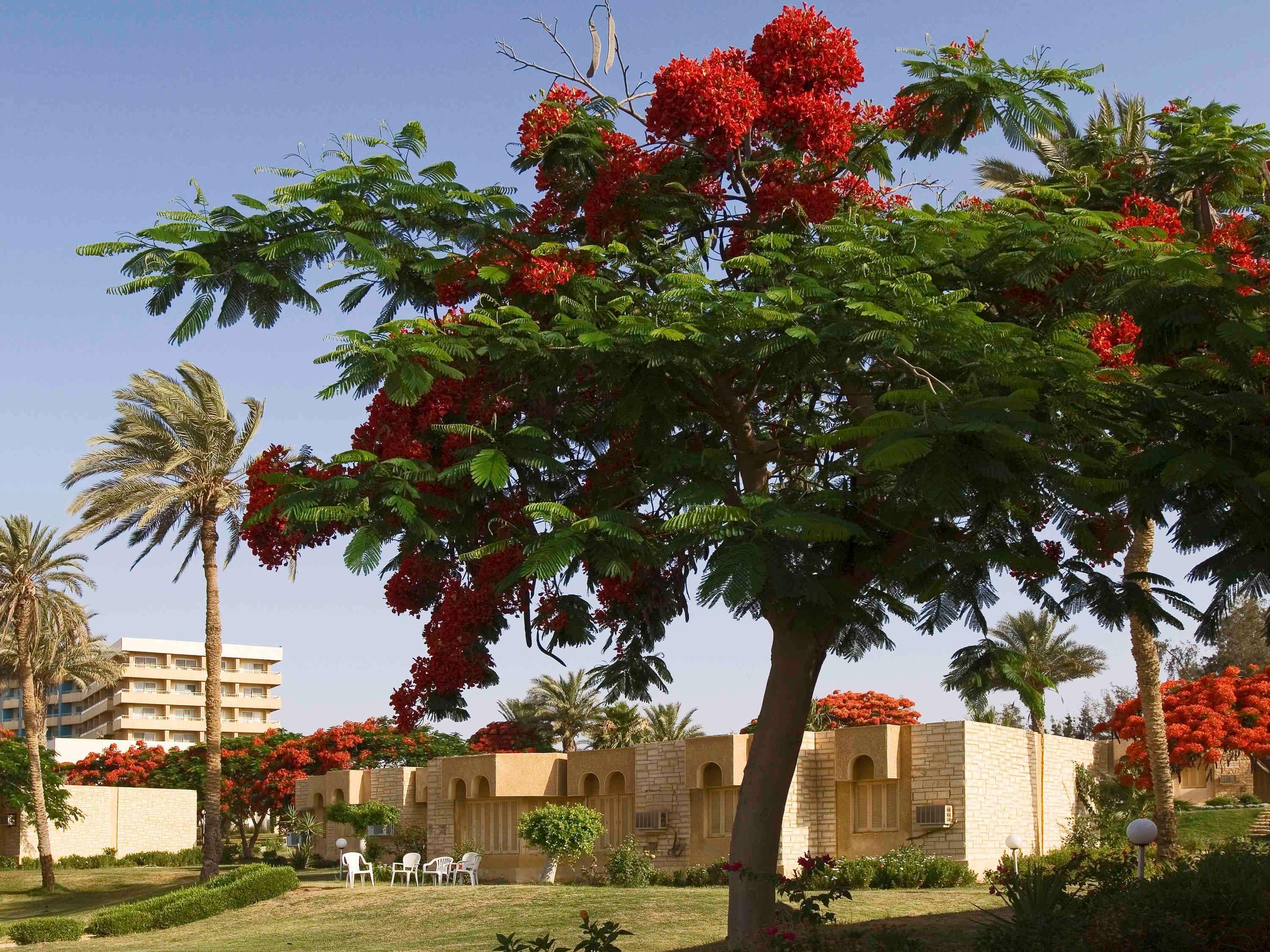 Mercure Ismailia Forsan Island Exterior foto