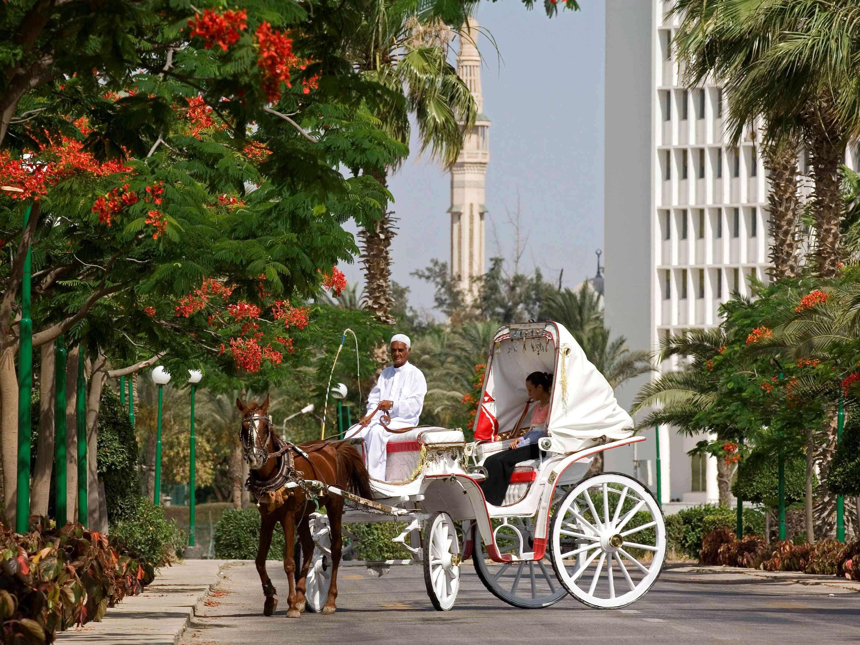 Mercure Ismailia Forsan Island Exterior foto